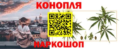 гашик Апшеронск