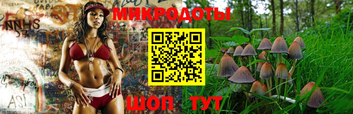 Великий Устюг  Галлюциногенные грибы Cubensis  Вход с VPN 