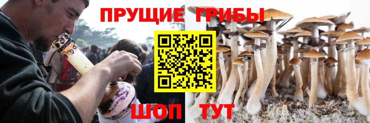 Галлюциногенные грибы Cubensis Великий Устюг